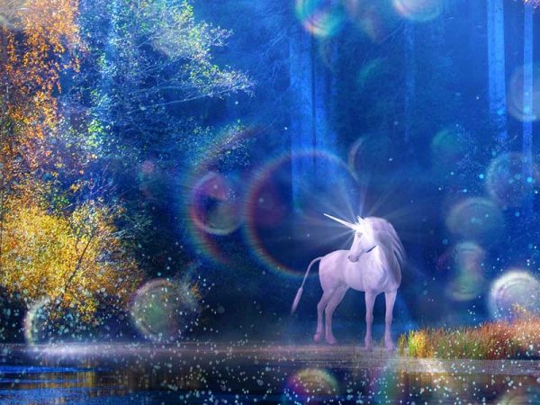 Meet the Unicorns Around the Fairy World