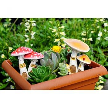 Top Collection Miniature Fairy Garden & Terrarium Cute Mushroom Houses ...