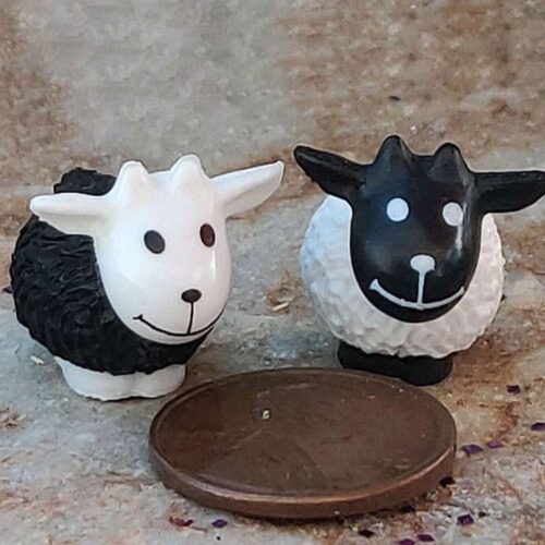 fairy garden sweet black and white sheep