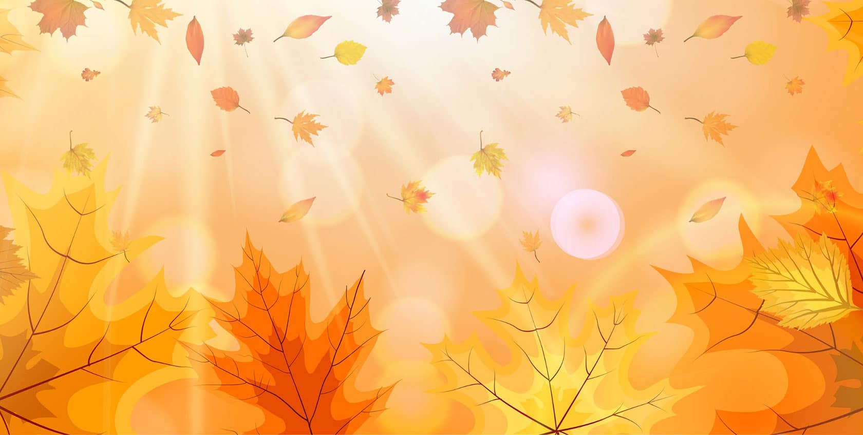 fall bg