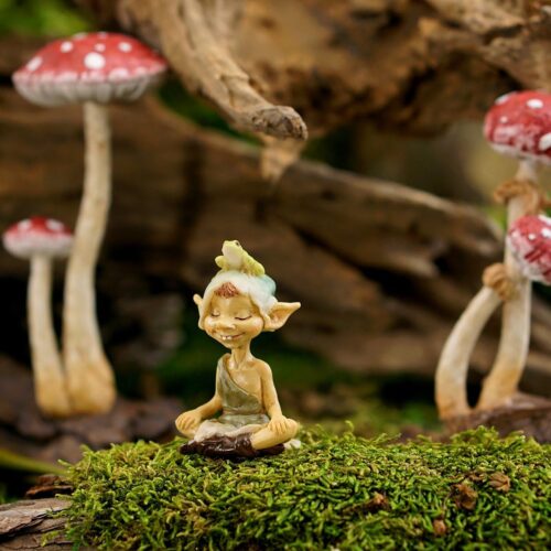 top collection miniature fairy garden and terrarium pixie meditating with frog