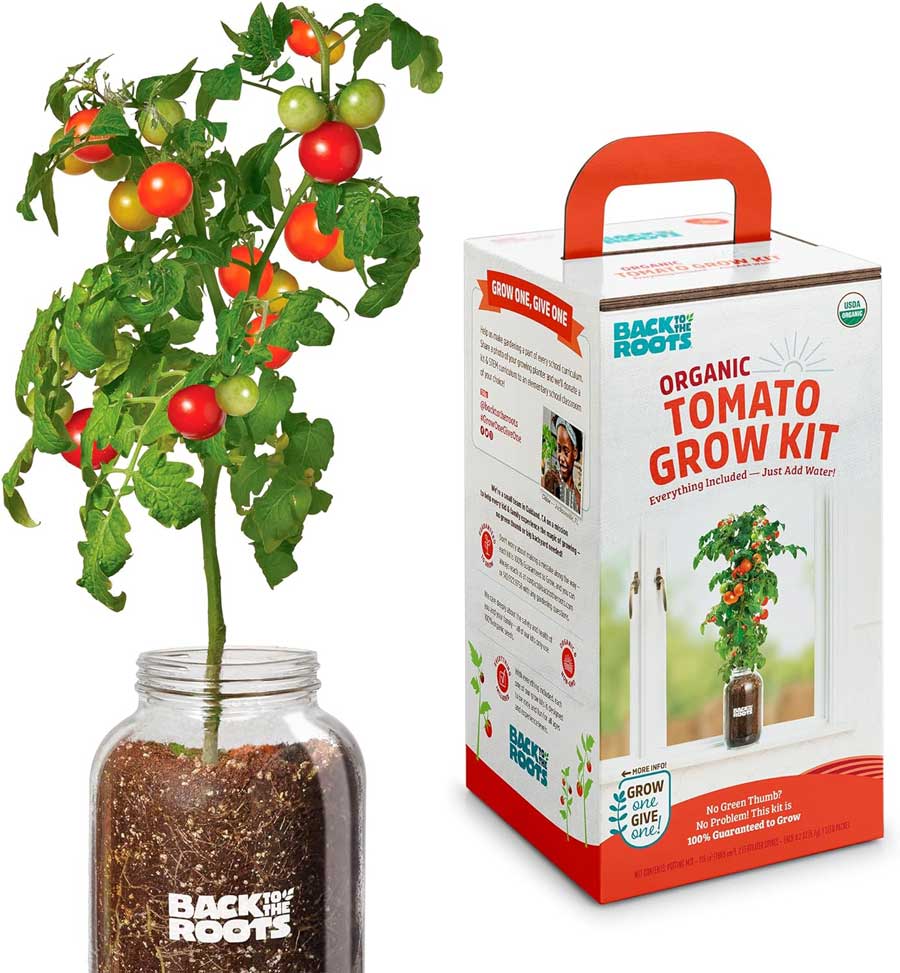 back to the roots cherry tomato organic windowsill planter kit
