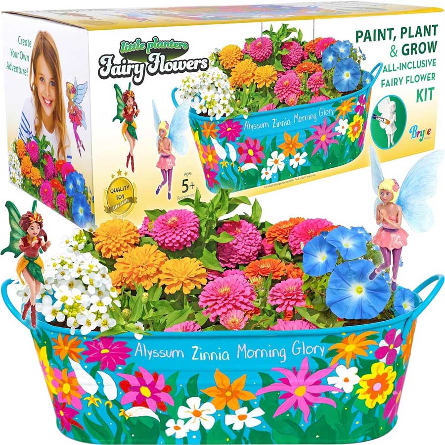 bryte fairy garden & flower growing kit