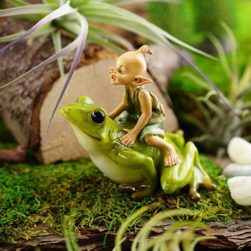 top collection miniature pixie riding frog