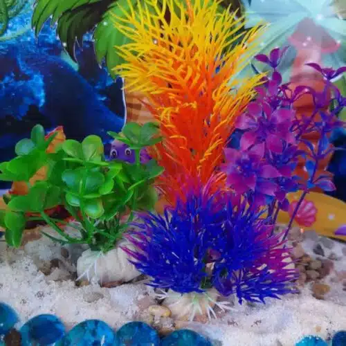 fun mermaid fairy garden plants