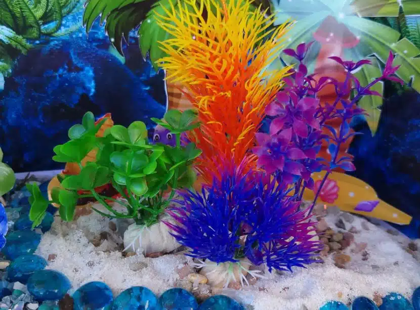 fun mermaid fairy garden plants