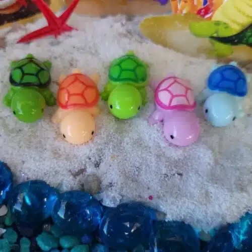 turtles are coming to the beach