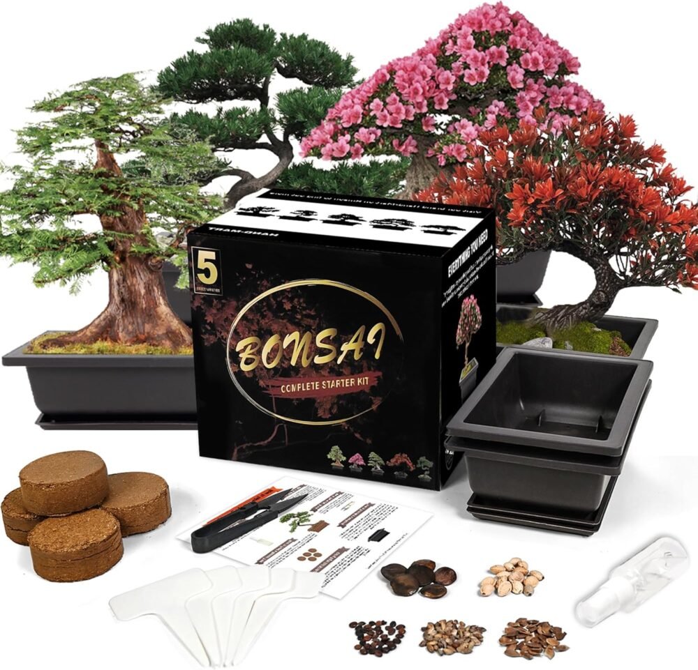 sproutix bonsai starter kit