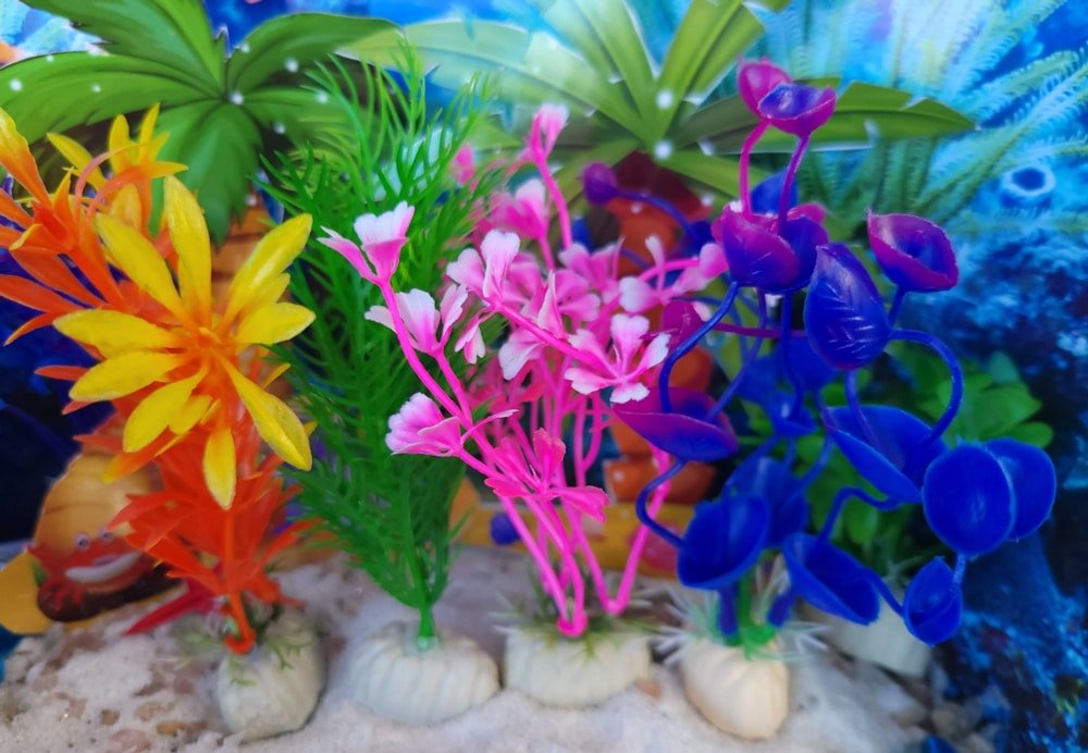 mermaid fairy garden plants