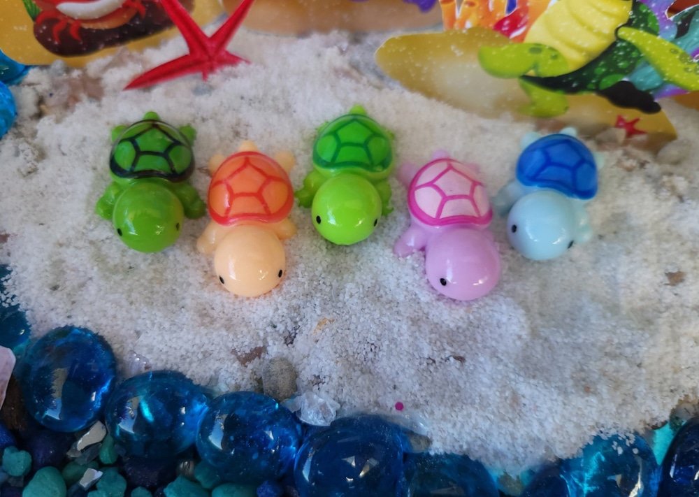 turtles are coming to the beach