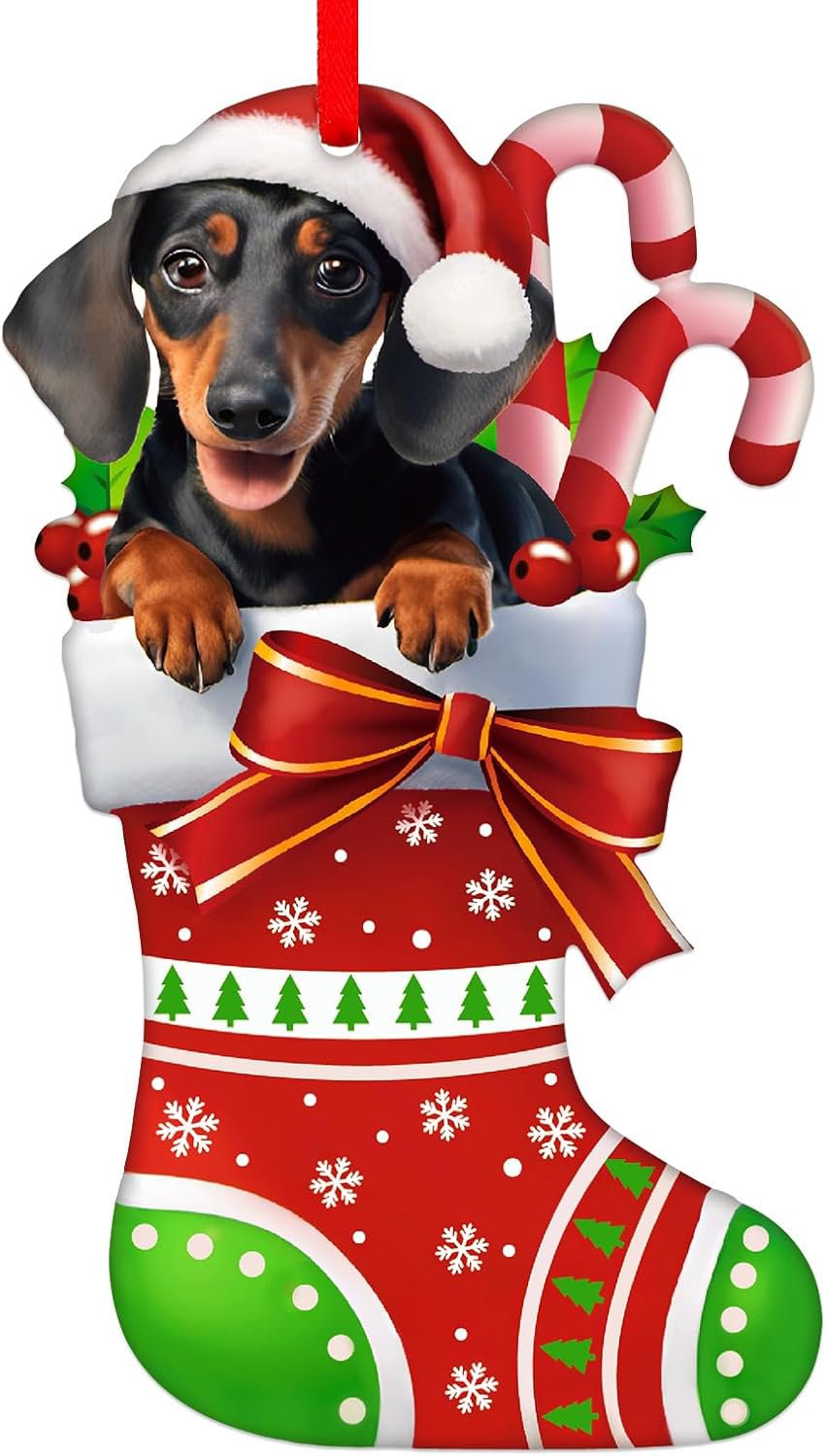 cute dachshund in a stocking ornament4