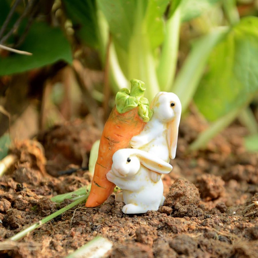 miniature rabbits carrying a carrot