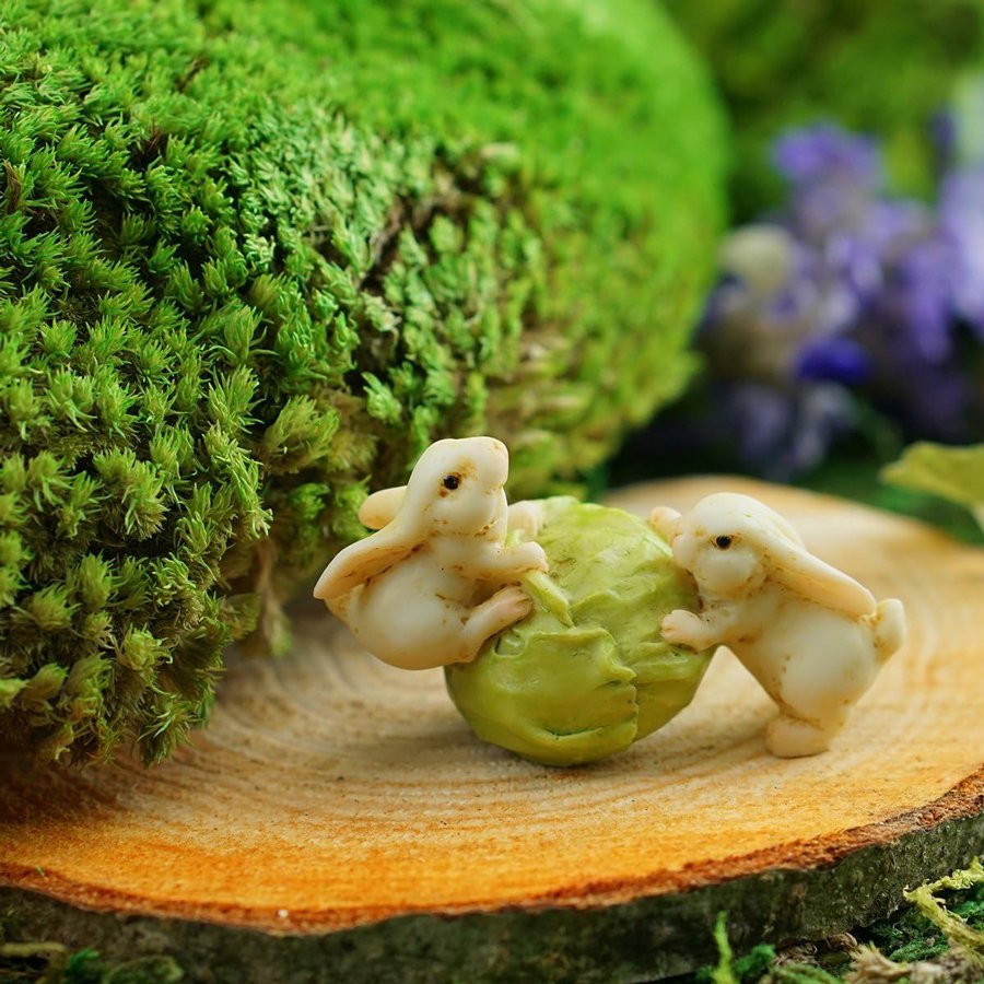 miniature rabbits rolling a cabbage